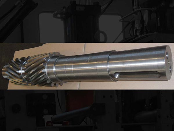 alberi bi-elicoidali